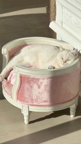 Баркитектура — новый тренд в дизайне и архитектуре Баркитектура — новый тренд в дизайне и архитектуре